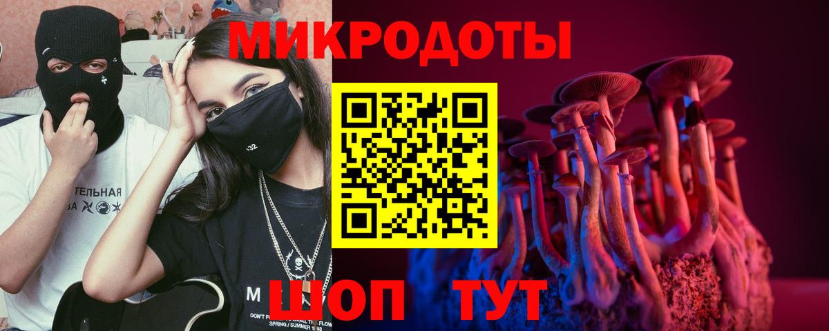 Родники  Псилоцибиновые грибы мухоморы  Вход с VPN 